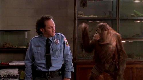 兽心在线观看,揭秘动物世界中的激情与冒险 第3张 兽心在线观看,揭秘动物世界中的激情与冒险 第3张