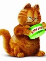 加菲最新爆料视频播放,娱乐圈幕后真相大曝光! 第1张 加菲最新爆料视频播放,娱乐圈幕后真相大曝光! 第1张